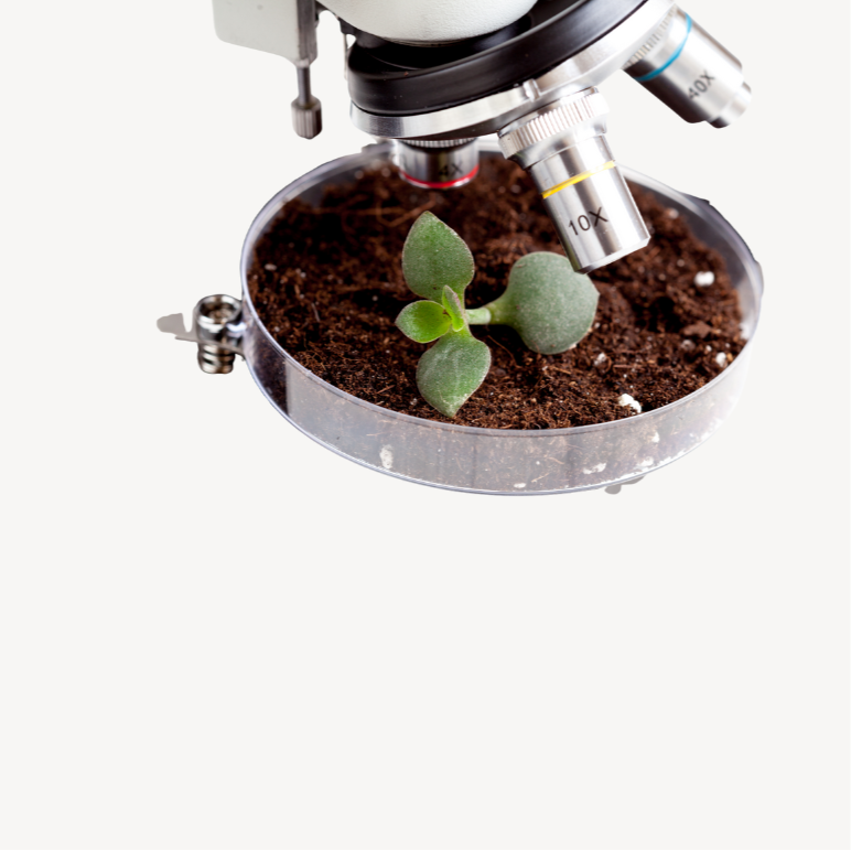CIENCIA